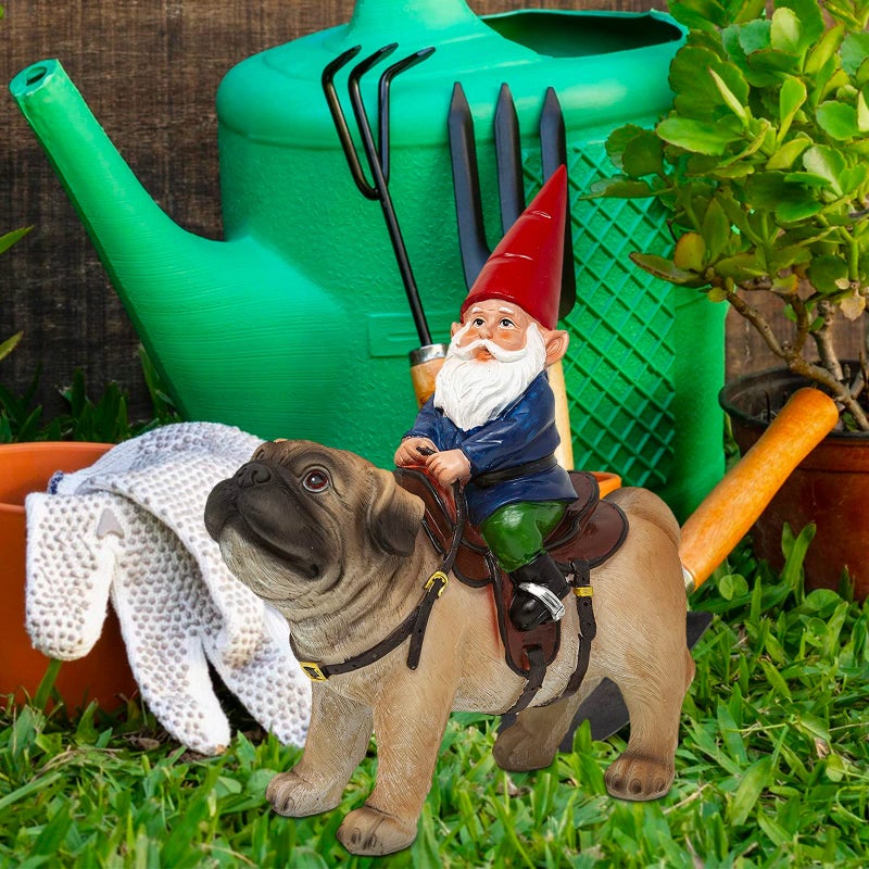 Funny Guy Mugs Garden Gnome Statue - Gnome Riding a Pug - Indoor/Outdoor Garden Gnome Sculpture for Patio, Yard or Lawn - Image 3